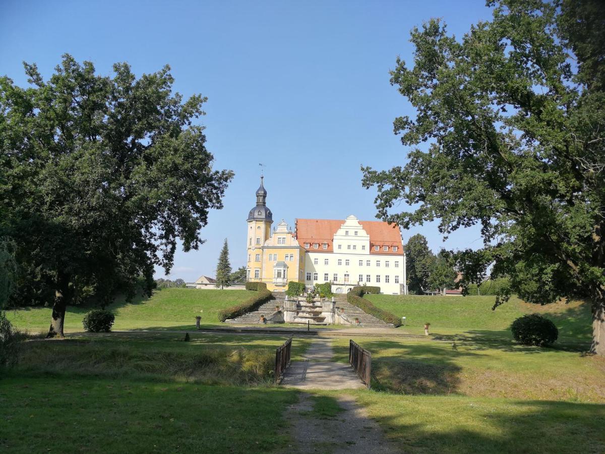 Pension Schlossblick Thallwitz Exteriér fotografie