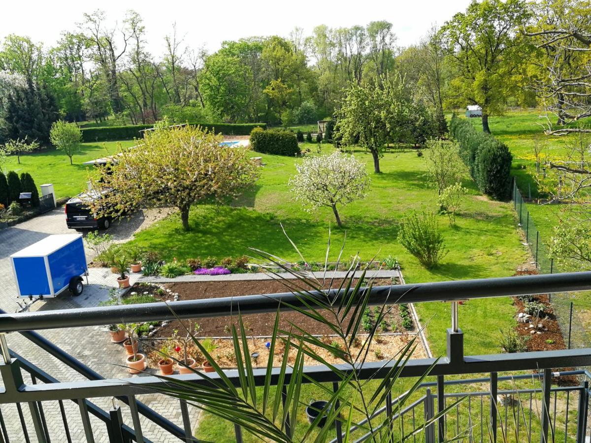 Pension Schlossblick Thallwitz Exteriér fotografie